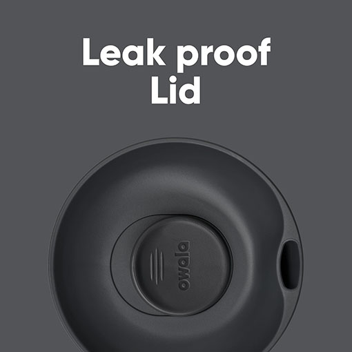 High Dive - Slider - 12oz